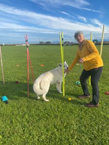 0704c12a-6c17-477d-8e5a-333bd0507276