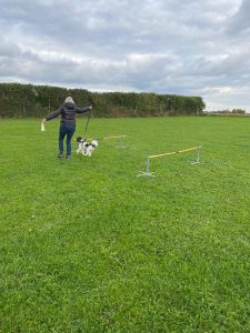 0b2ea1da-ece6-499c-989f-9e6343af5b59