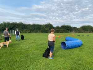 0cff1636-bdd5-41e1-9fd4-9200a3c3bdb9