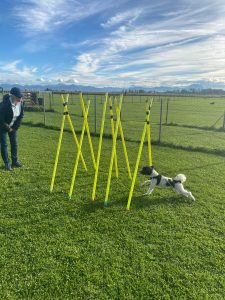 1038c89c-0336-454e-8087-98fc8c1979ae