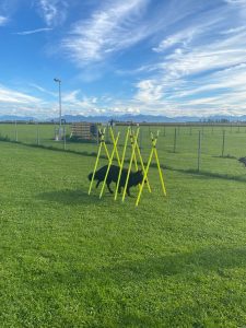 13e0c737-1679-45db-8de8-5f6a21f7e1e7