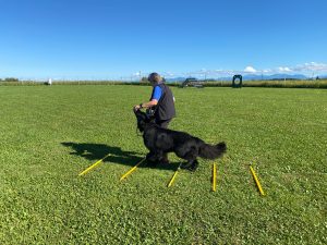 1b441a5b-8d4d-4d03-9607-c08ae1bb839a