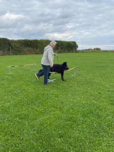 1e462ccf-ef41-42e9-854b-357bbfd509ec