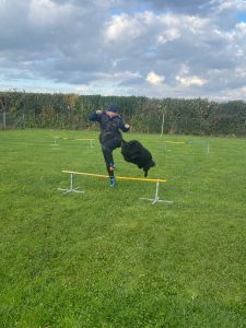 2038dc69-11ae-4f0b-837c-fbed926f122f