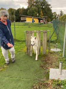 29fd16b6-185d-4f66-89f4-267dd14258dc