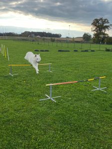 2a5897c5-20d3-45eb-8469-8f2de01316ac