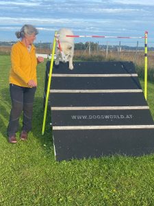 32f02ad5-1e02-4c25-9bd3-92a62071eacb