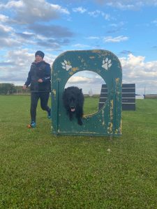 3d2db0a8-ca53-4cfe-b4e1-5cbfef3a07a0