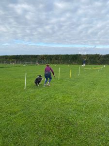 42e2d4c6-05ce-4df8-aa91-3b03381edda7