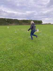 5586b099-a2f1-4830-a918-057ba74f93e2