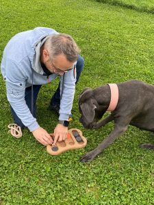 56b3b952-c38b-4e39-8741-4f0691cdf6b5