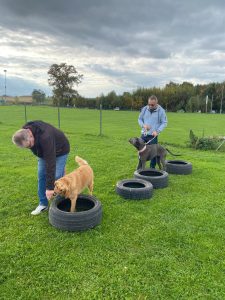 60238bb8-0fae-48dc-a18f-a5592f8dc332