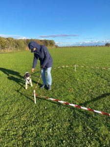 64347b71-cb46-4b11-bd50-046b6c6d8b99