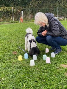 6bda4650-bcb8-4192-b3a4-80ec8cdcde1c