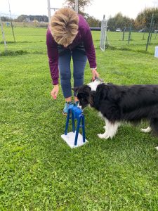 70850a42-d18b-43ab-a044-90c7c8b3ecbf