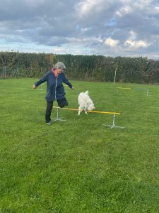 7a4dc699-ee76-48c6-b80c-2d8ed327f087