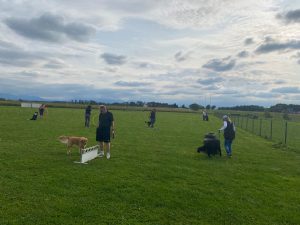 8d105539-0383-4d79-a369-073256ab411d