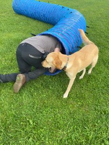 8dd95098-8236-4984-95d7-10ead47a7dd7