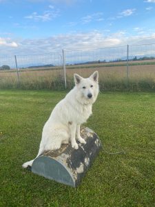 93a3ed88-9534-40e2-ad1b-f40b0a2a67d0