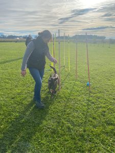 97bcfdef-1675-41fb-aaea-c4cc26f015b6