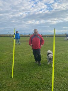 9d3f7b35-4e33-49e6-b1e8-600cba953c83