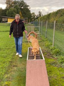 9dbb0e76-ff87-4dc8-8bee-f7bb344da13c