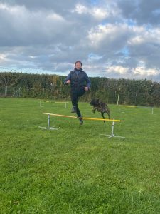 c18901a6-f62b-43e0-9a55-c1700d1fac8a