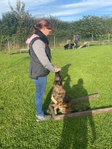 c9cf70ee-7a4f-45f0-a9eb-6304184a5ff4