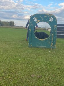 d3f56a2f-f14f-4ce0-bf28-0787c9436149