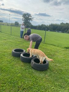 fe8ef6a9-8265-405d-b597-b27c57543253