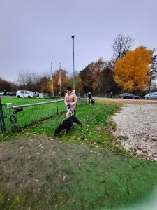 PHOTO-2025-11-08-18-35-58