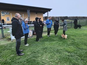 PHOTO-2025-11-08-18-36-06-3