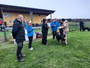 PHOTO-2025-11-08-18-36-07