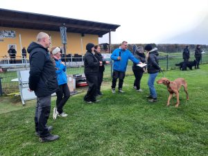 PHOTO-2025-11-08-18-36-09-4