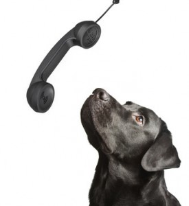 Hund Telefon